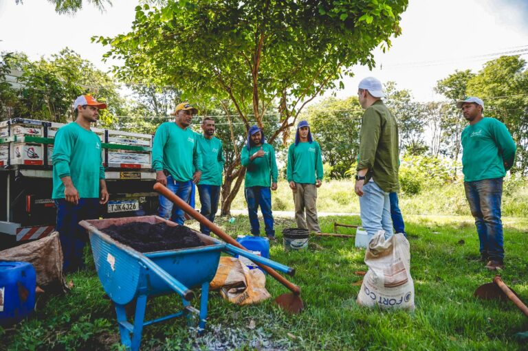 8 mil árvores foram plantadas em 25 dias em Ribeirão Preto, afirma prefeitura