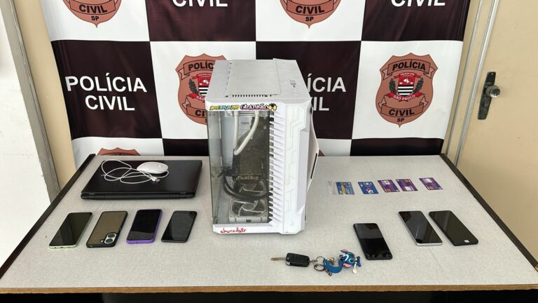 Criminosos são presos por criarem sites falsos de lojas legítimas na internet e movimentarem R$ 6 milhões de reais