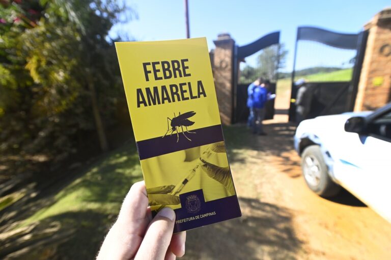 Saúde confirma primeira morte por febre amarela em Campinas