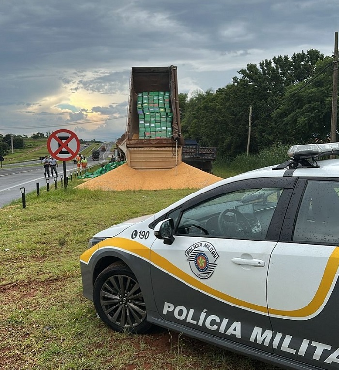 PM apreende 9 toneladas de maconha no interior que tinham como destino o Porto de Santos