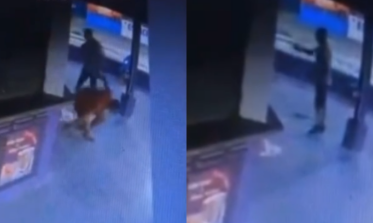 Vídeo mostra momento em que moradores de rua são baleados enquanto dormiam em Mongaguá