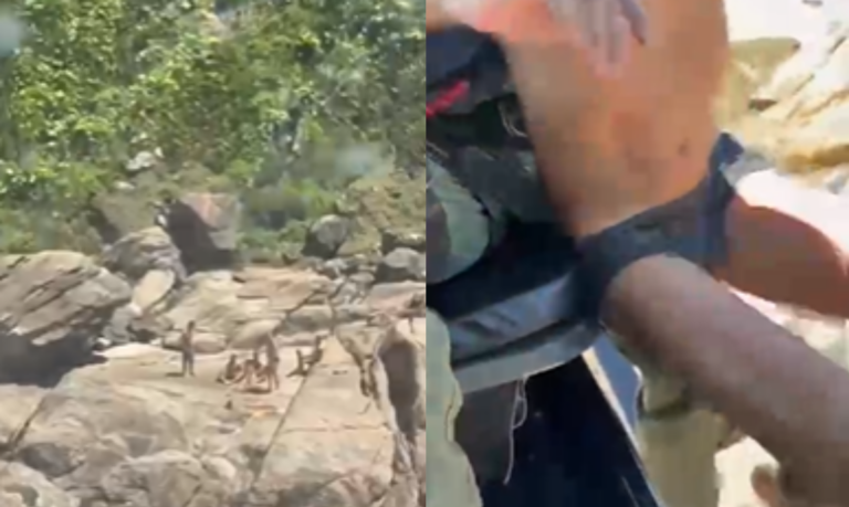 Mar agitado causa dificuldade e deixa guarda-vidas e criança ‘ilhados’ em costa de praia do litoral de SP; VÍDEO