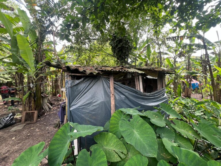 Construções irregulares em área de mata são demolidas por Força-Tarefa de Guarujá