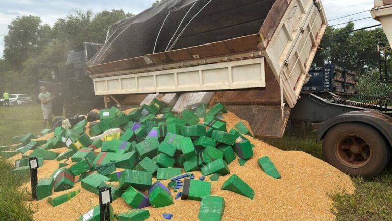 Maior apreensão de drogas do ano: PM Rodoviária apreende 9 toneladas de maconha no interior de SP