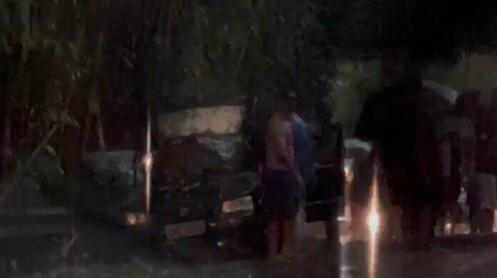 Queda de barreira e de árvore causam interdições na SP-50, em Monteiro Lobato