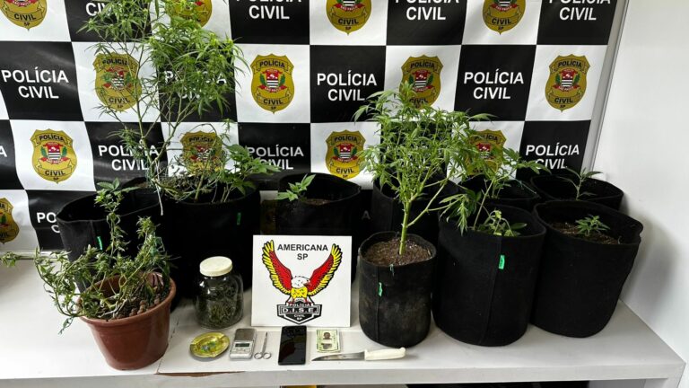 Operação “ESTUFA” da Polícia Civil de Americana desmantela esquema de tráfico de drogas em Monte Mor
