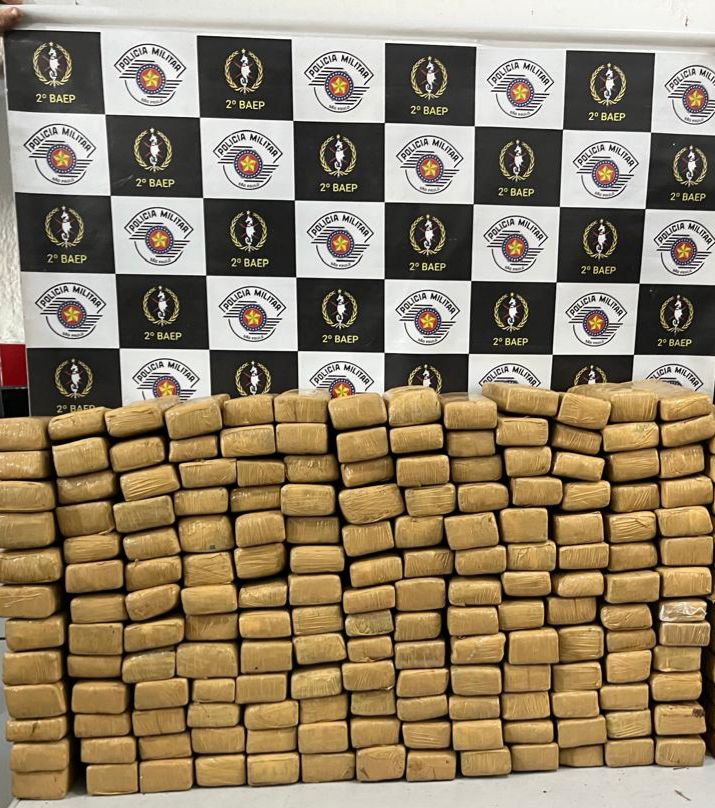 Mais de 160 tijolos de maconha são encontrados enterrados em área de mata em Guarujá; VÍDEO