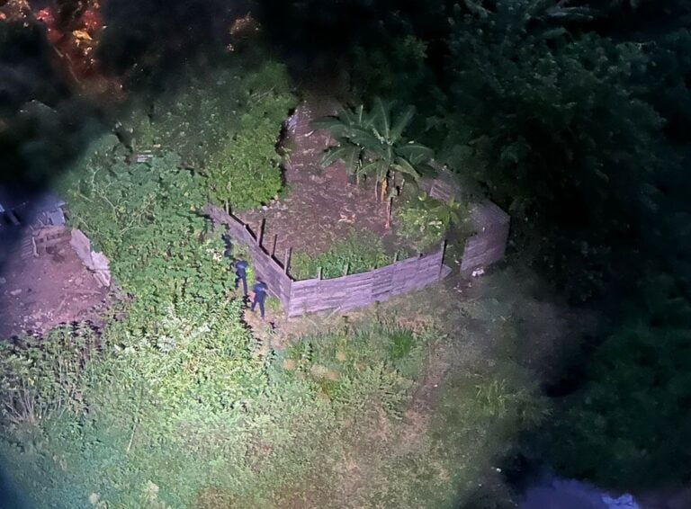 Polícia Civil de Rio Claro faz operação contra o tráfico de drogas e armas