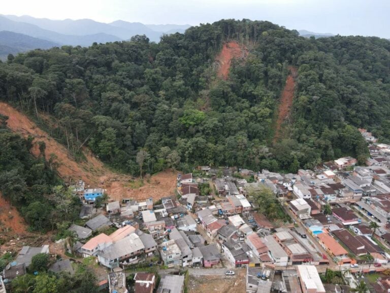 2 anos após tragédia em São Sebastião, Governo do Estado continua investindo no reflorestamento da Vila Sahy