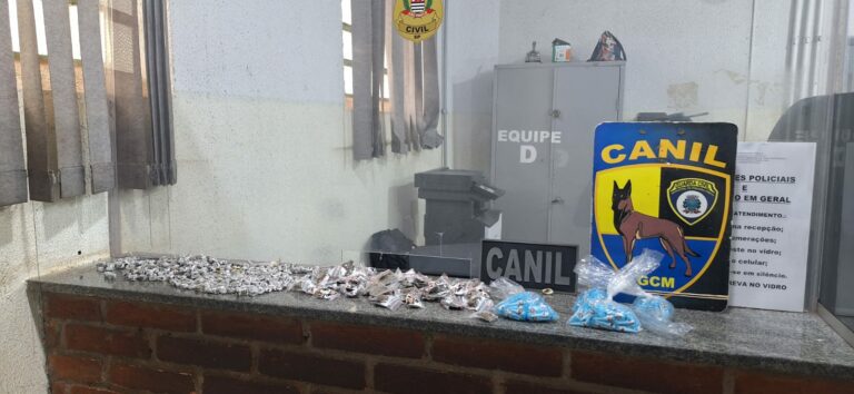 GCM encontra mais de 400 parangas de maconha e 208 pinos de cocaína em via pública do Antonio Palocci
