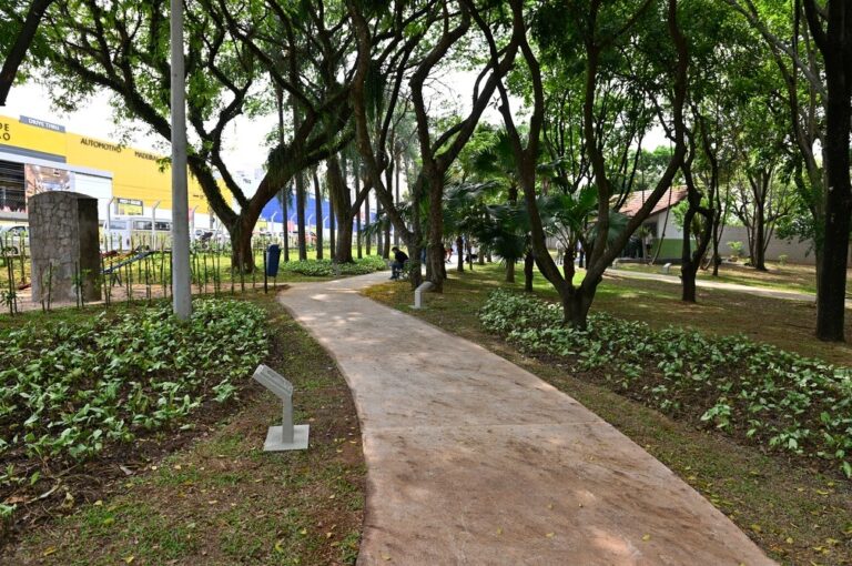 Prefeitura de Campinas fecha parques na região Sul devido às chuvas