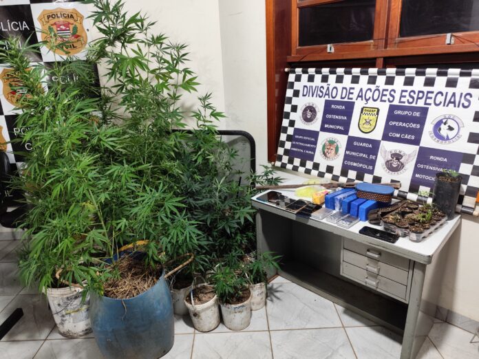 WhatsApp Image 2025-02-18 at 06.30.00