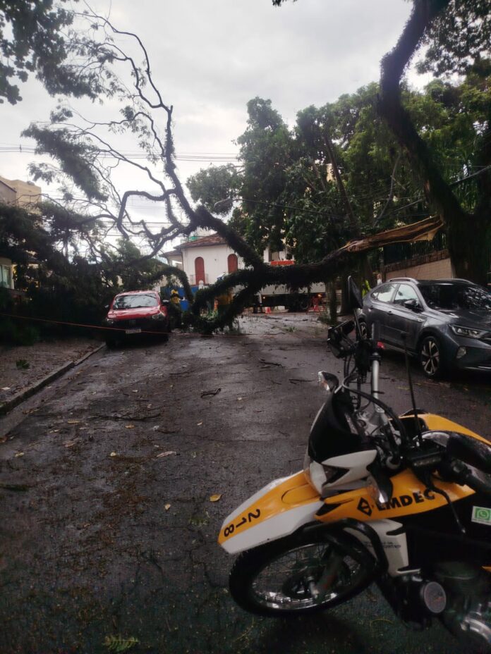 WhatsApp Image 2025-02-21 at 15.38.42