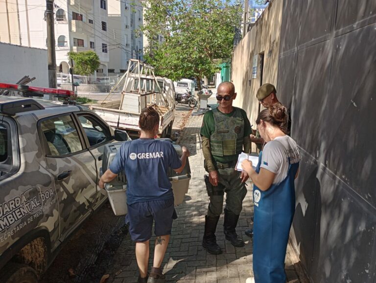 DOA resgata carcará debilitado no bairro Riviera em Bertioga