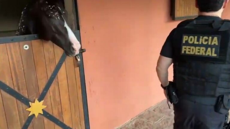 Polícia Federal apreende cavalos avaliados em R$ 3 milhões em Indaiatuba