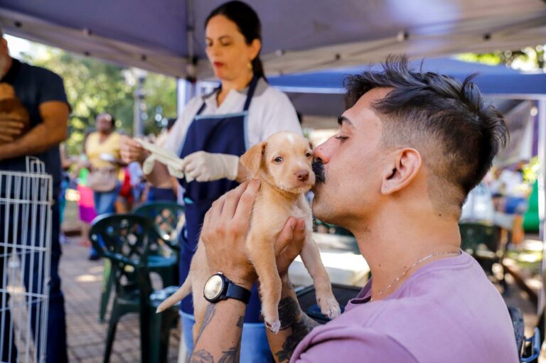 Feira de adoção de cães e gatos será permanente