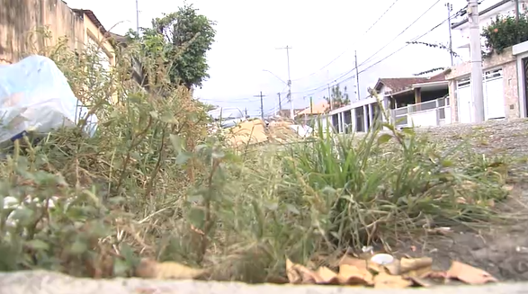 Moradores reclamam de lixo, entulho e mato alto na Vila Valença, em São Vicente