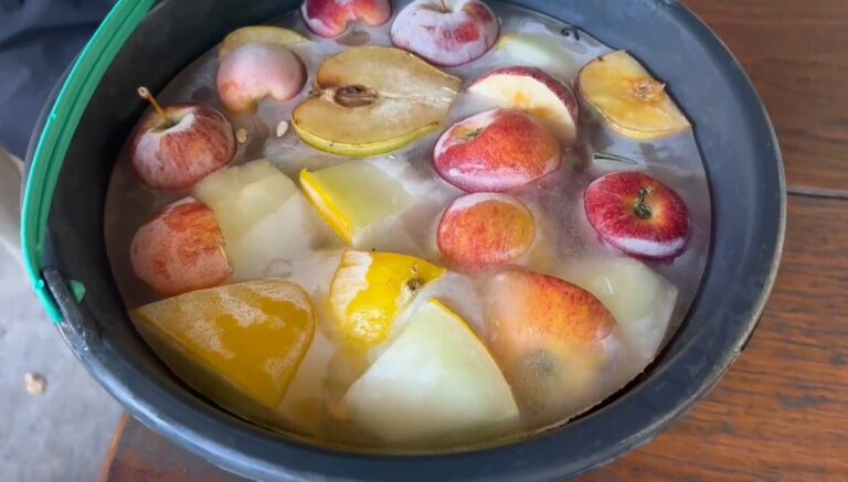 Bom pra elefante! Animais ganham sorvetão de frutas por conta das altas temperaturas