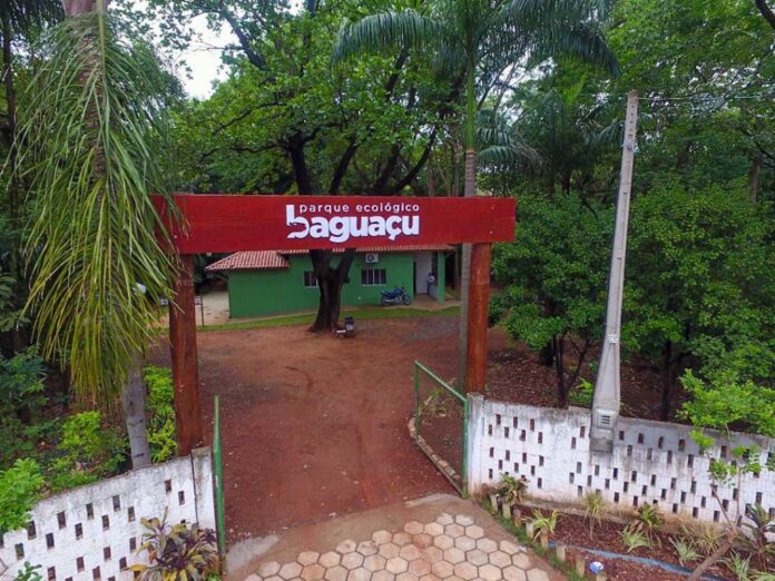 parque-ecologico-baguacu-volta-a-funcionar-aos-sabados-e-domingos Foto: Divulgação