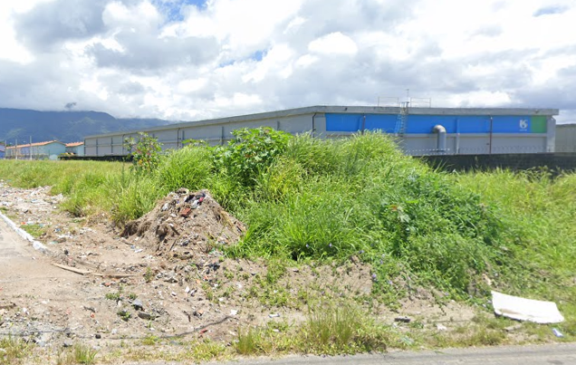 reprodução terreno baldio