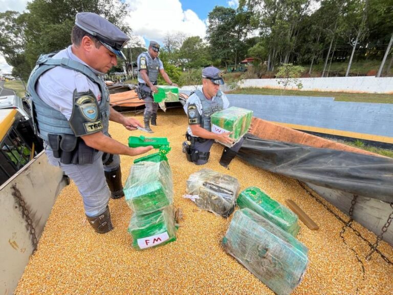 Duas toneladas de maconha em carga de milho são apreendidas no interior de SP