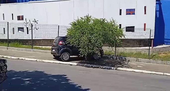 Captura de tela 2025-03-06 152449