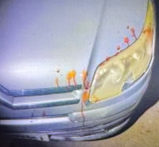 Captura de tela 2025-03-20 125246