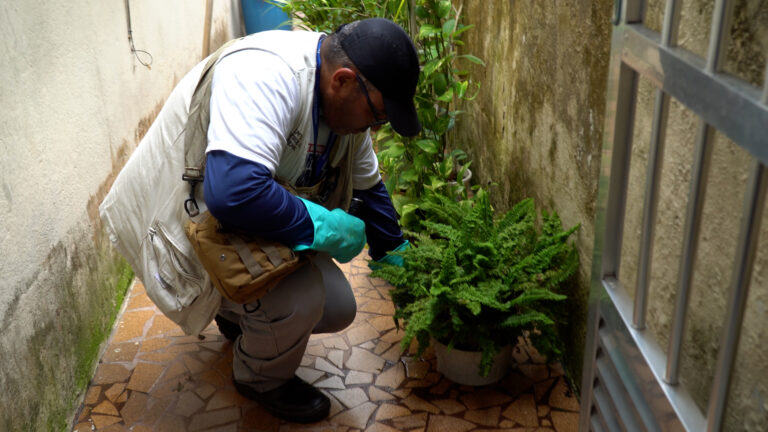 Ribeirão Preto registra queda de 49% nos casos de dengue em 2025