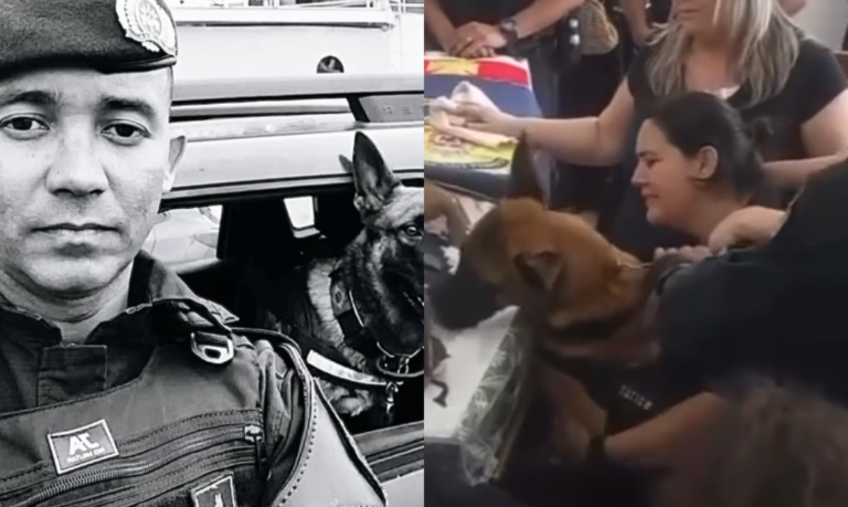 ‘Amor animal’: Cão demonstra tristeza em velório de GCM morto durante patrulhamento no Morro do Itararé em São Vicente