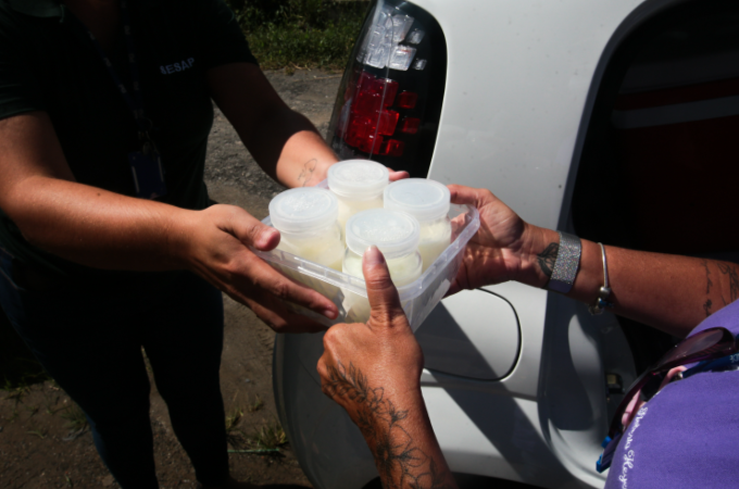 Doação de potes de vidro para armazenar leite humano podem ser entregues nas Usafas de Praia Grande