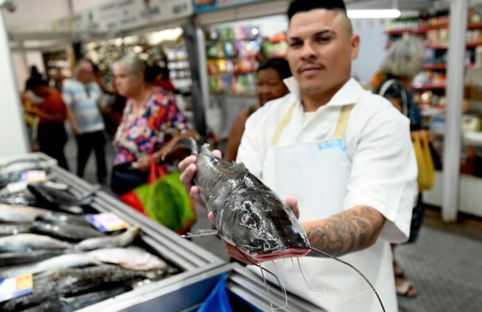 Mercadão de Campinas espera aumento de até 30% nas vendas de peixes