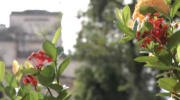 Saiba qual será a tendência climática para este outono