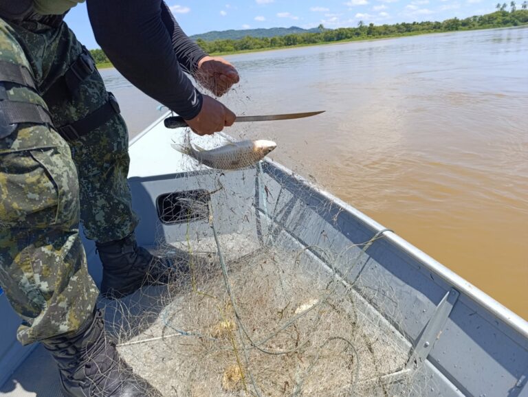 PM Ambiental Marítima termina período de proteção de espécies com quase 300 kgs de pescados apreendidos e 6 pescadores autuados