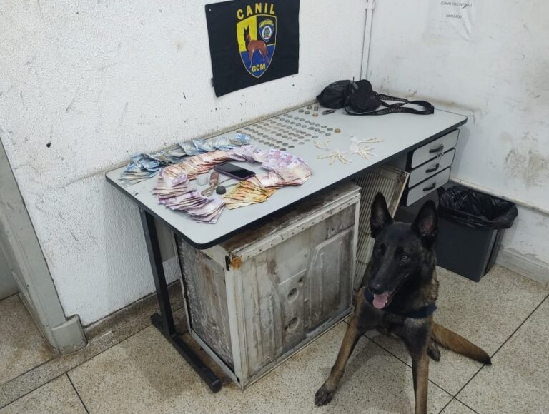Canil da GCM apreende menor de idade traficando crack na Av. Bandeirantes; jovem foi liberado