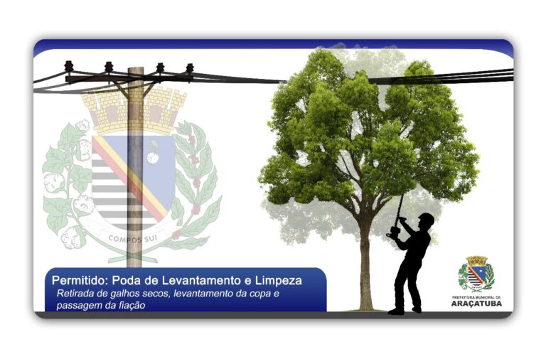 Prefeitura de Araçatuba alerta para importância da poda responsável de árvores