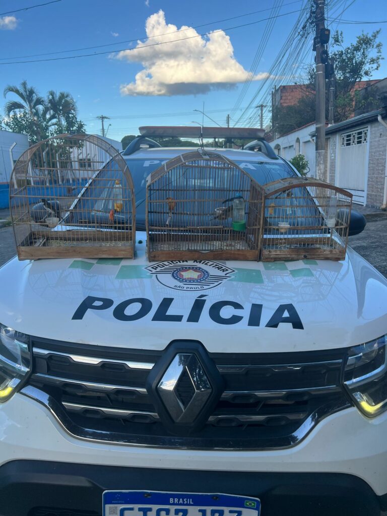 PM Ambiental resgata 12 aves durante operação em cidades do Vale Histórico