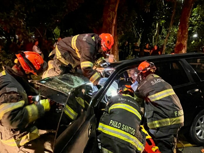 Idosa de 71 anos fica ferida após bater carro contra árvore em São José