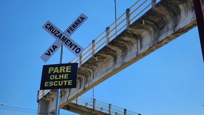 Taubaté terá interdição de rua para remoção de árvores