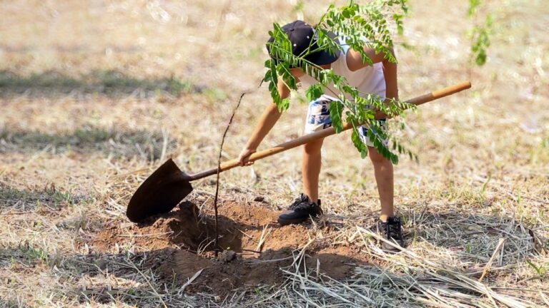 Araçatuba promove ação ambiental no Dia Mundial da Água com plantio de árvores