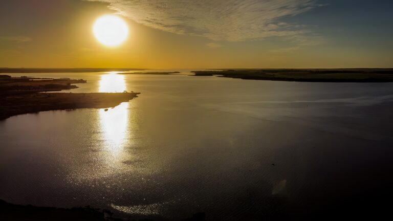 Araçatuba celebra o Dia Mundial da Água destacando uso sustentável no agronegócio