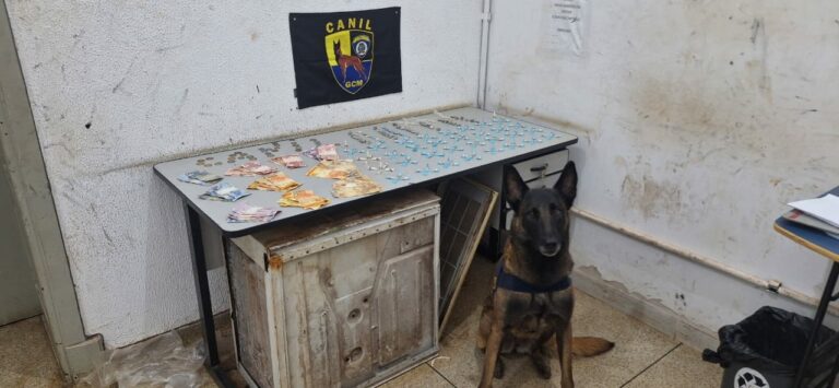 Com maconha, cocaína e crack, menor traficante de 16 anos é detido no Casagrande