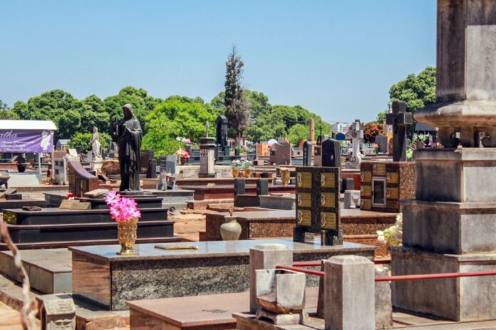 Foto: Divulgação | Prefeitura de Araçatuba