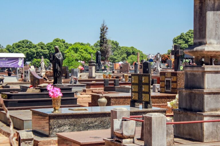 Sistema de monitoramento identifica autor de furto no Cemitério da Saudade em Araçatuba