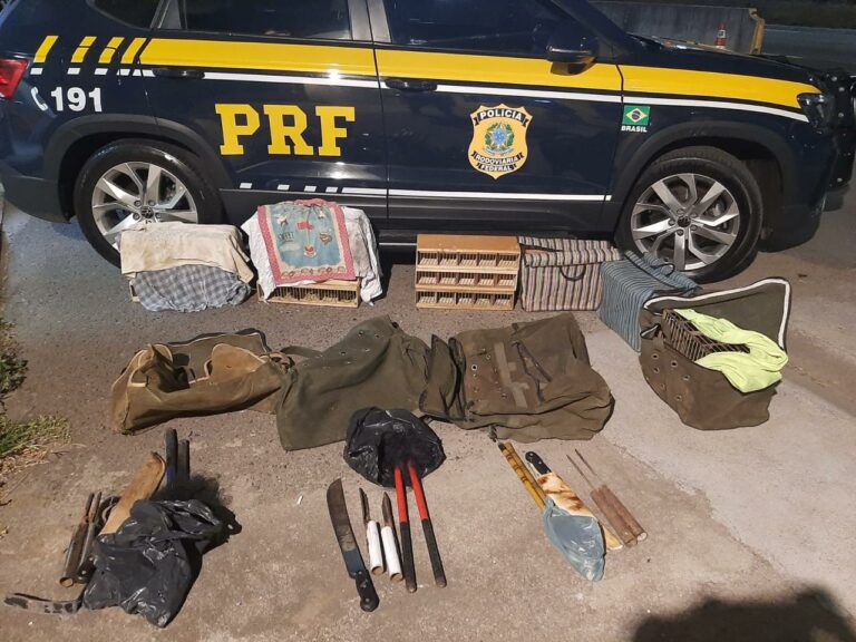 Homem é preso por caça ilegal de pássaros silvestres pela 13ª vez em Atibaia
