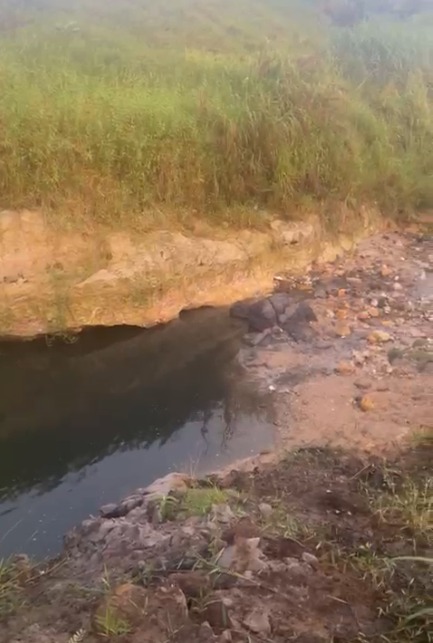 Criança autista é encontrada morta ao lado de córrego em São José