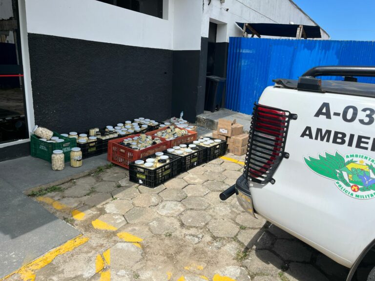 PM Ambiental apreende quase 800 kg de palmito irregular de supermercados no Litoral Norte