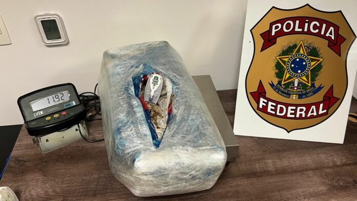 WhatsApp Image 2025-03-26 at 10.00.04