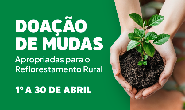 Foto: Divulgação | Prefeitura de Birigui