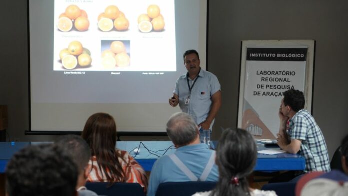 capacitacao-impulsiona-citricultura-na-regiao-de-aracatuba Foto: Divulgação