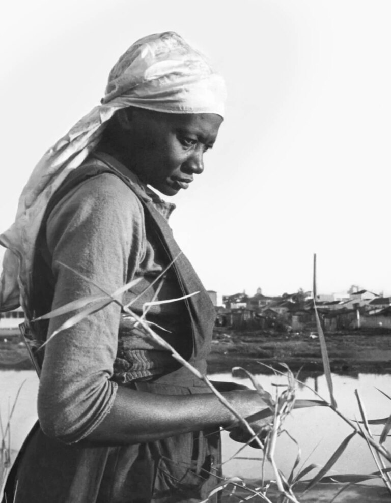 Carolina Maria de Jesus: poesias e reflexões sobre a luta e a identidade